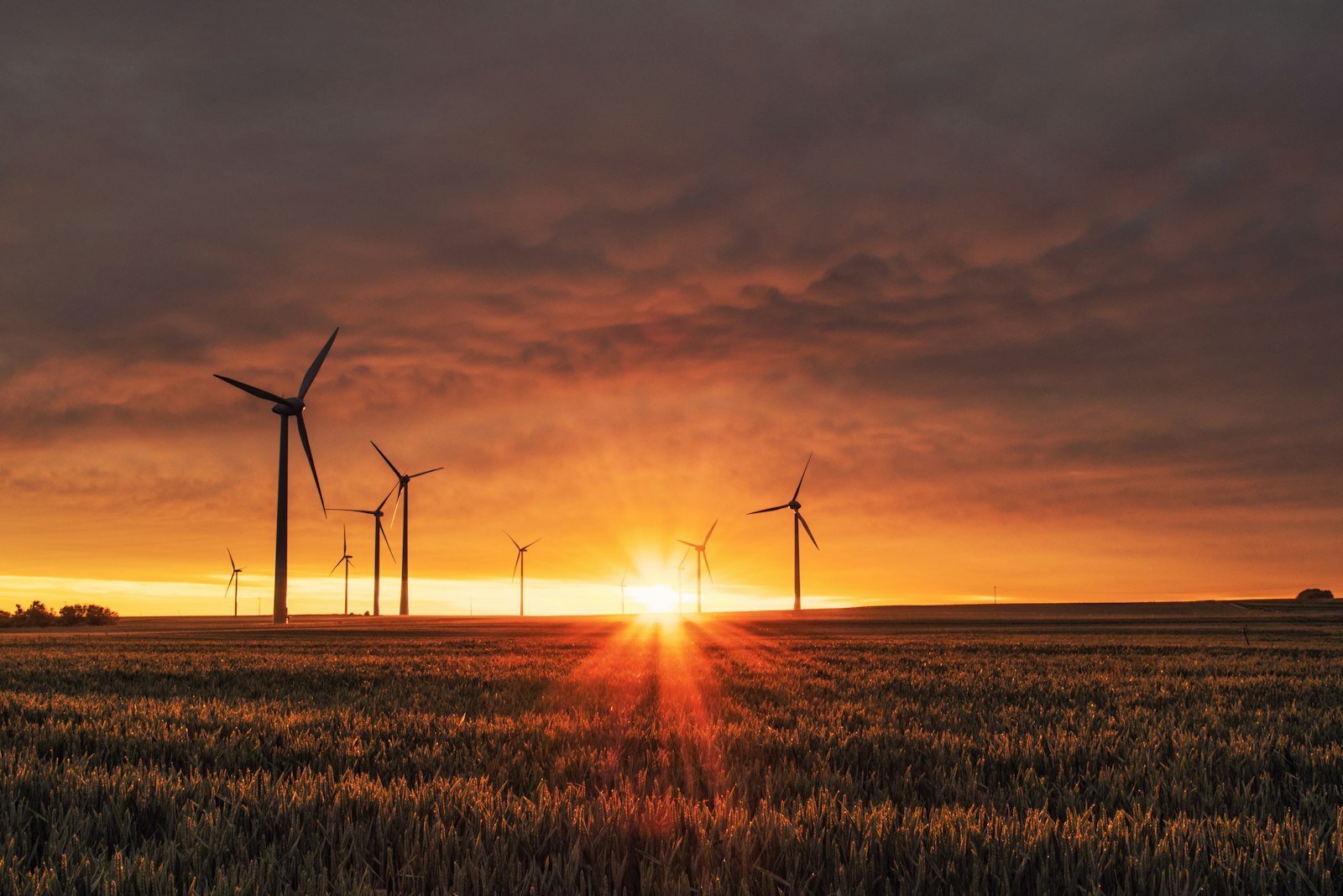 Commercial & Industrial Solar